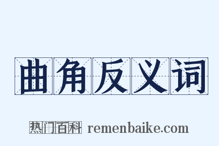 曲角反义词是什么意思的图片